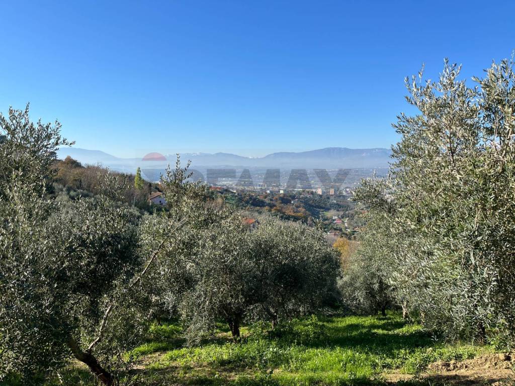 immagine annuncio 8 di 11