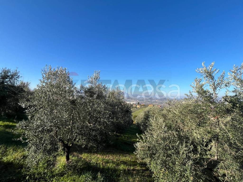 immagine annuncio 9 di 11