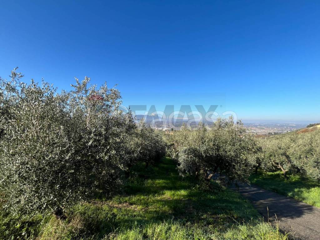 immagine annuncio 10 di 11