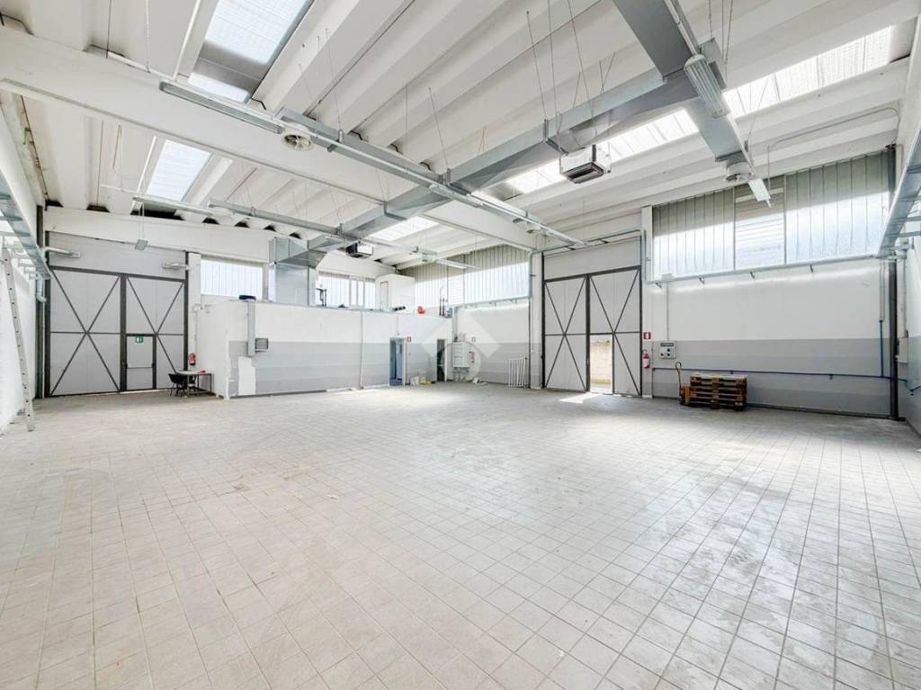 immagine annuncio 5 di 15