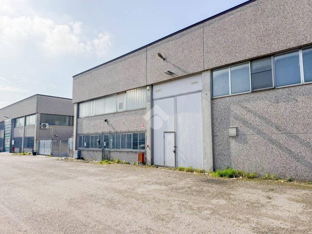 immagine annuncio 14 di 15