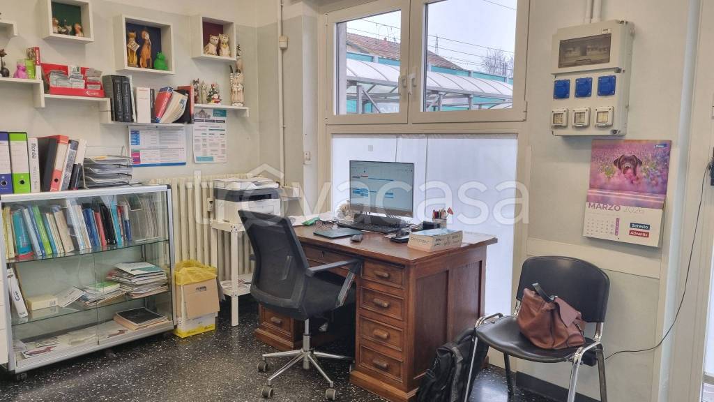 immagine annuncio 3 di 15