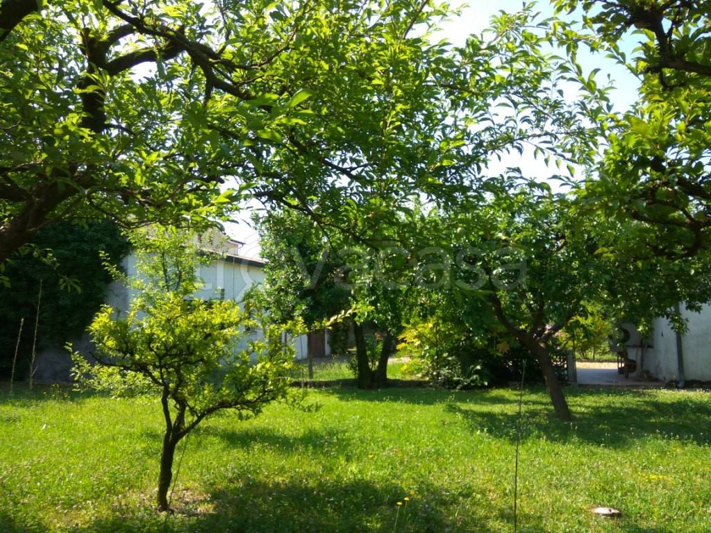 immagine annuncio 2 di 3