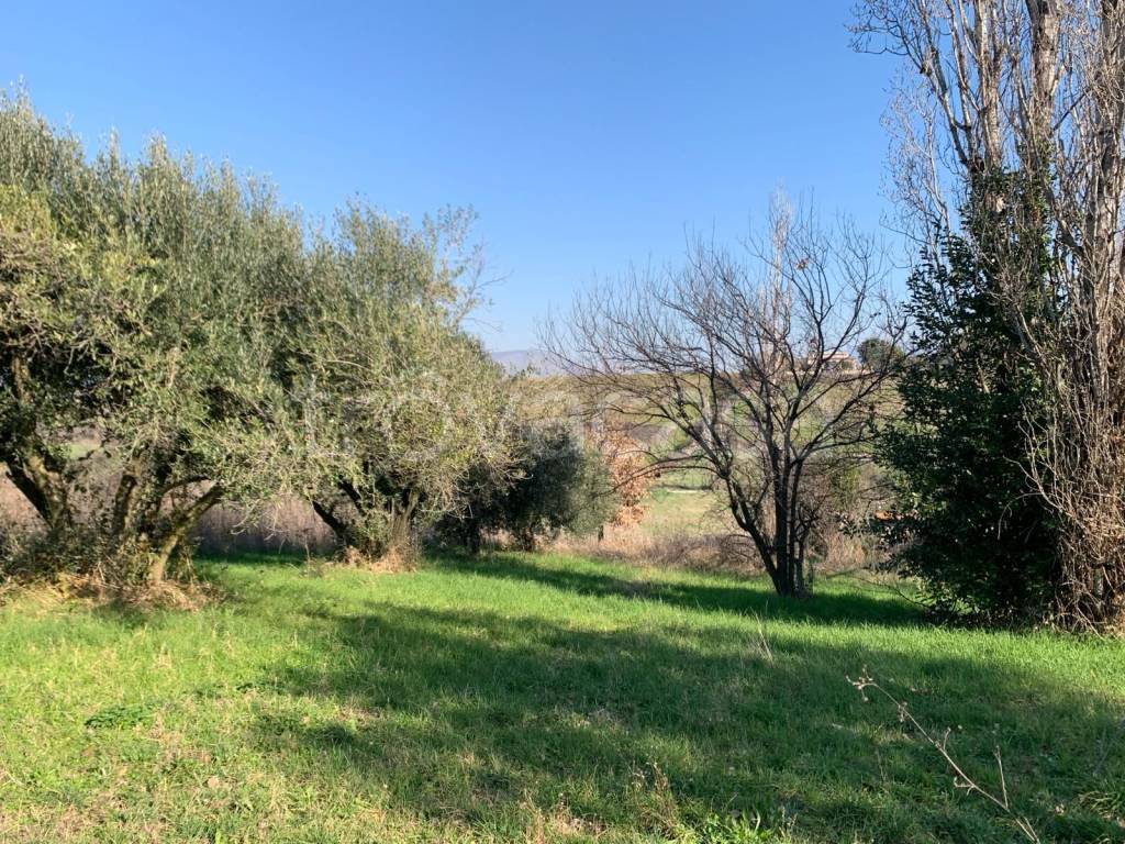 immagine annuncio 7 di 9