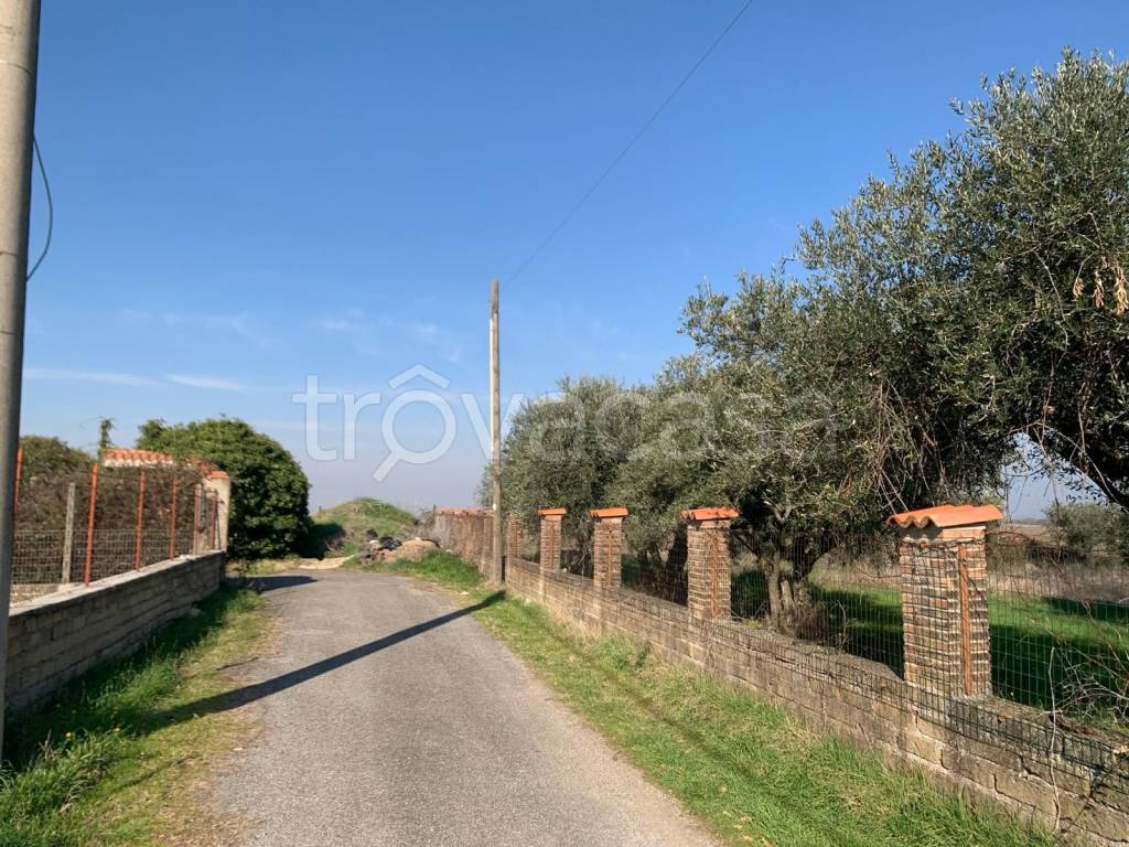 immagine annuncio 8 di 9