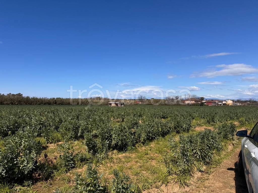 immagine annuncio 5 di 6