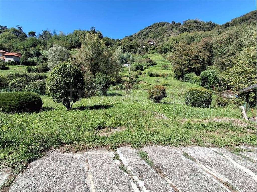 immagine annuncio 6 di 8