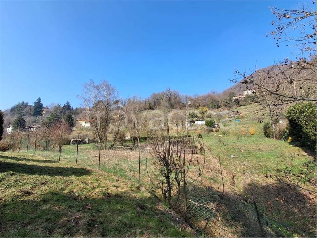 immagine annuncio 7 di 8