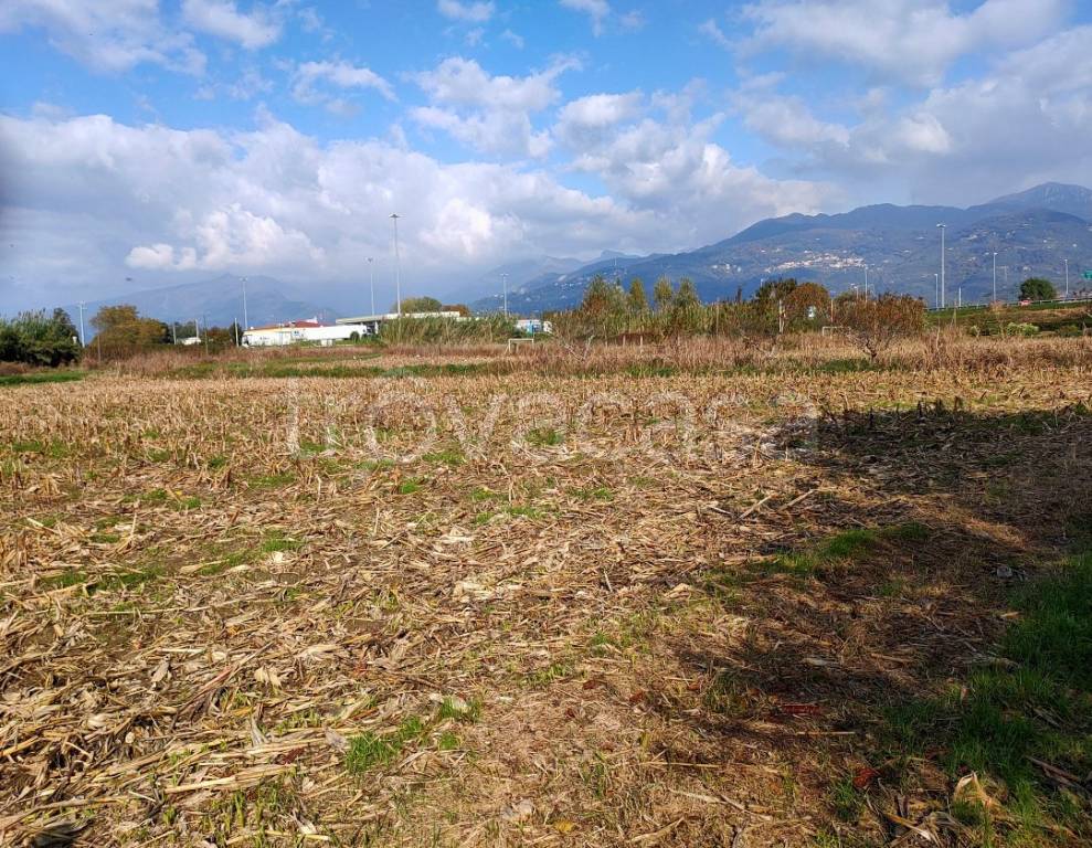 immagine annuncio 8 di 13