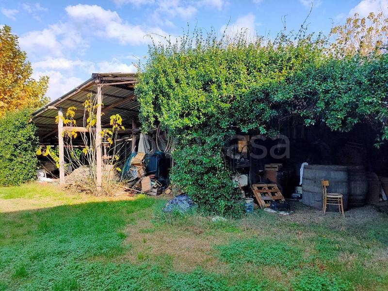 immagine annuncio 11 di 13