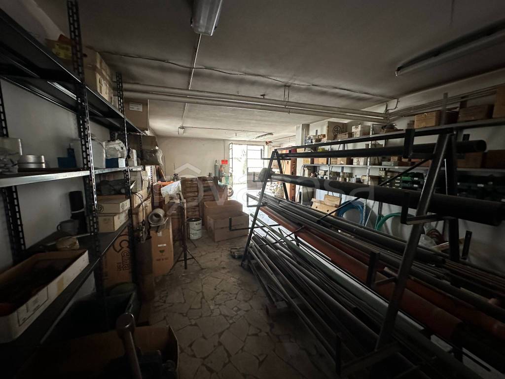 immagine annuncio 3 di 11