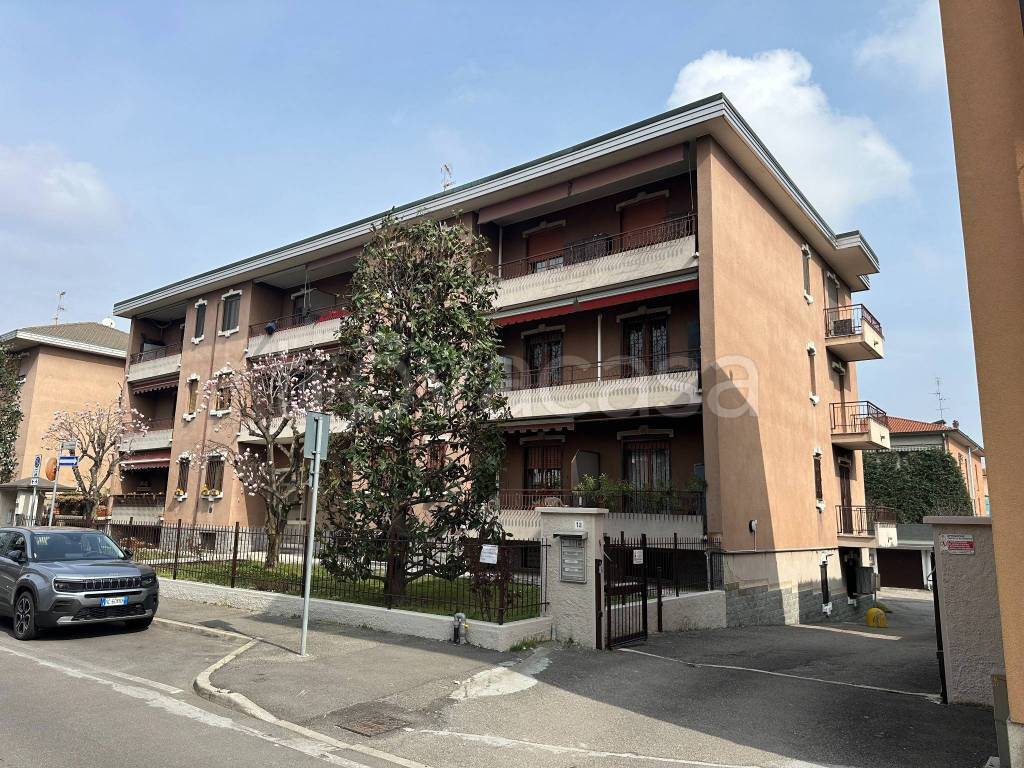 immagine annuncio 9 di 11