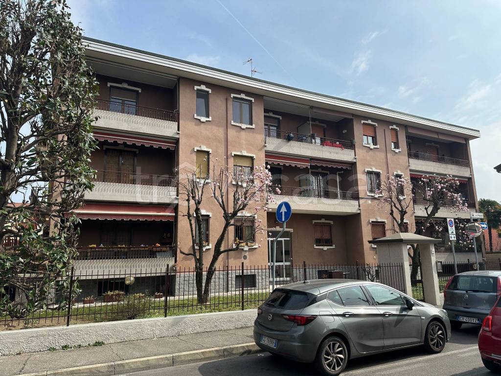 immagine annuncio 10 di 11