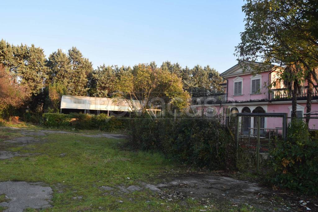 immagine annuncio 7 di 15