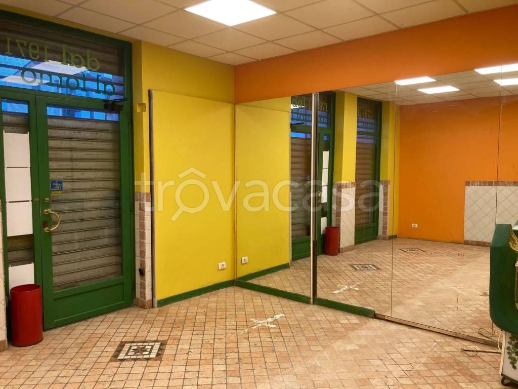 immagine annuncio 1 di 14