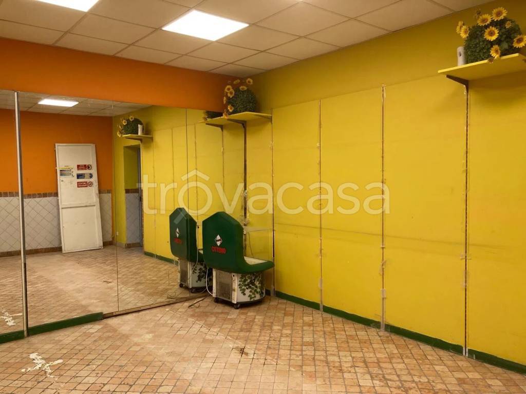 immagine annuncio 3 di 14