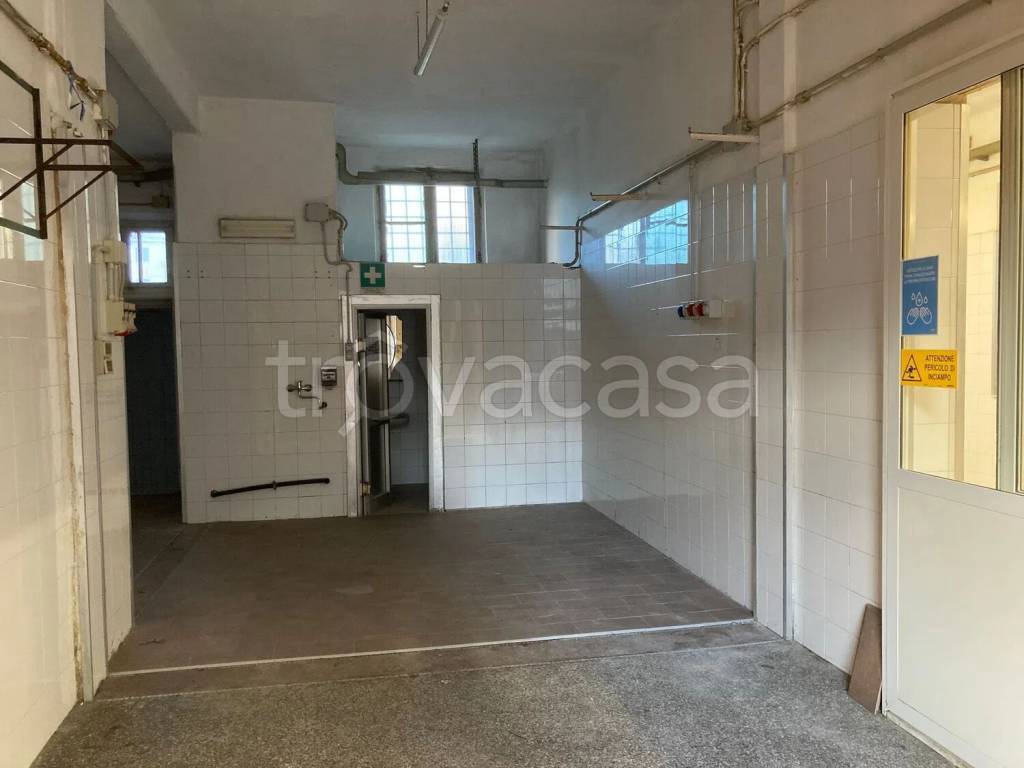 immagine annuncio 5 di 14