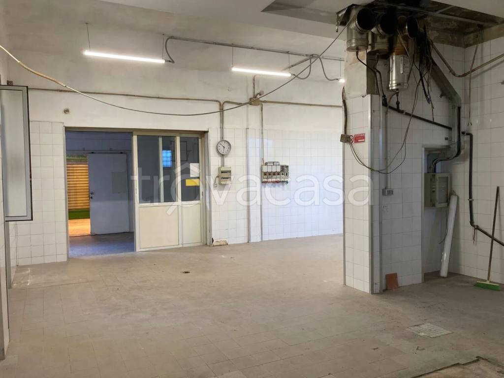 immagine annuncio 10 di 14