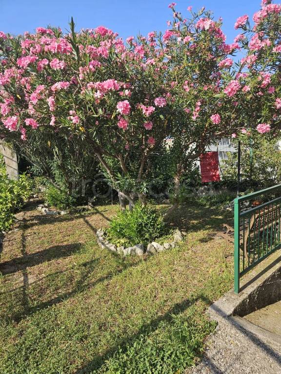 immagine annuncio 8 di 9