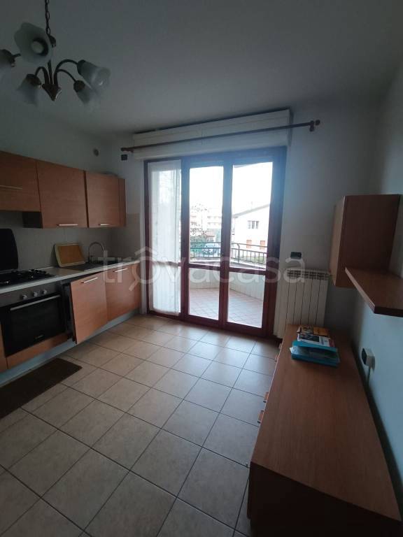 immagine annuncio 2 di 12