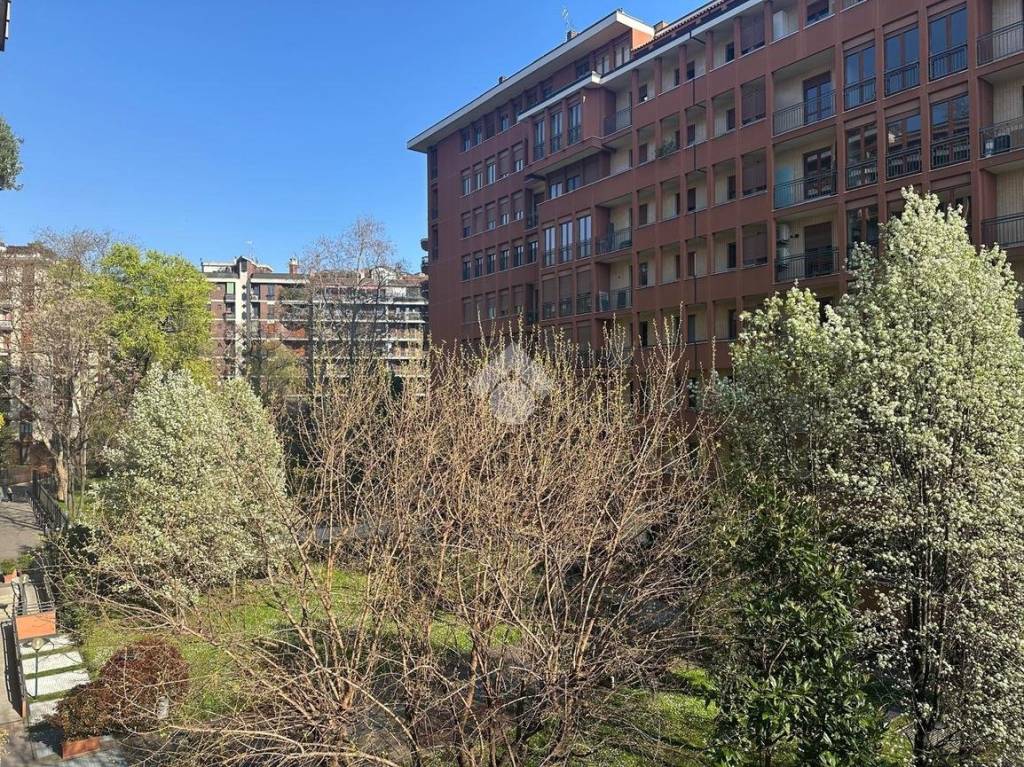 immagine annuncio 2 di 6