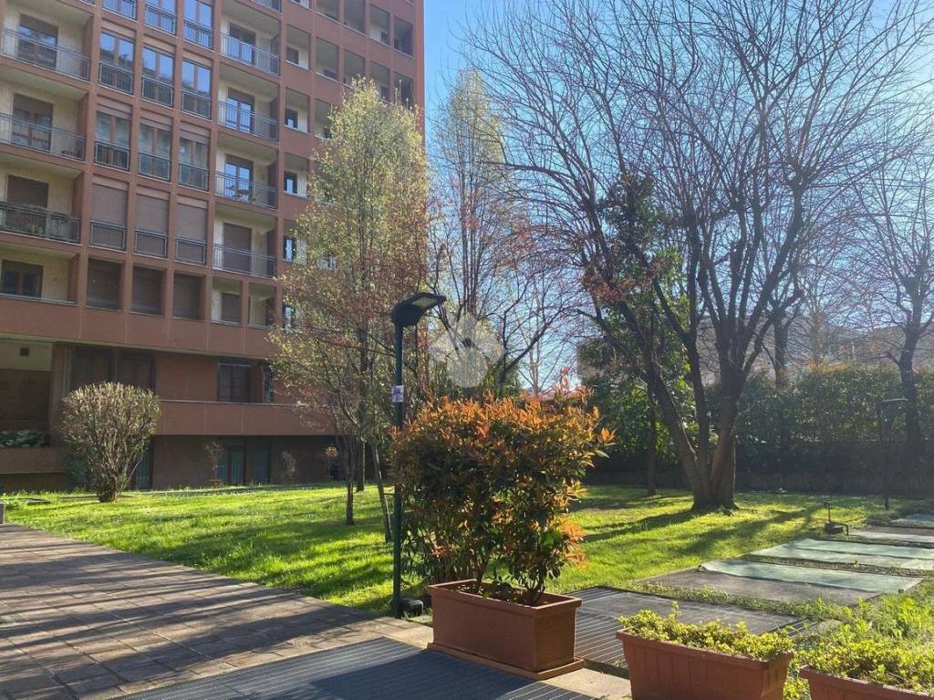 immagine annuncio 5 di 6