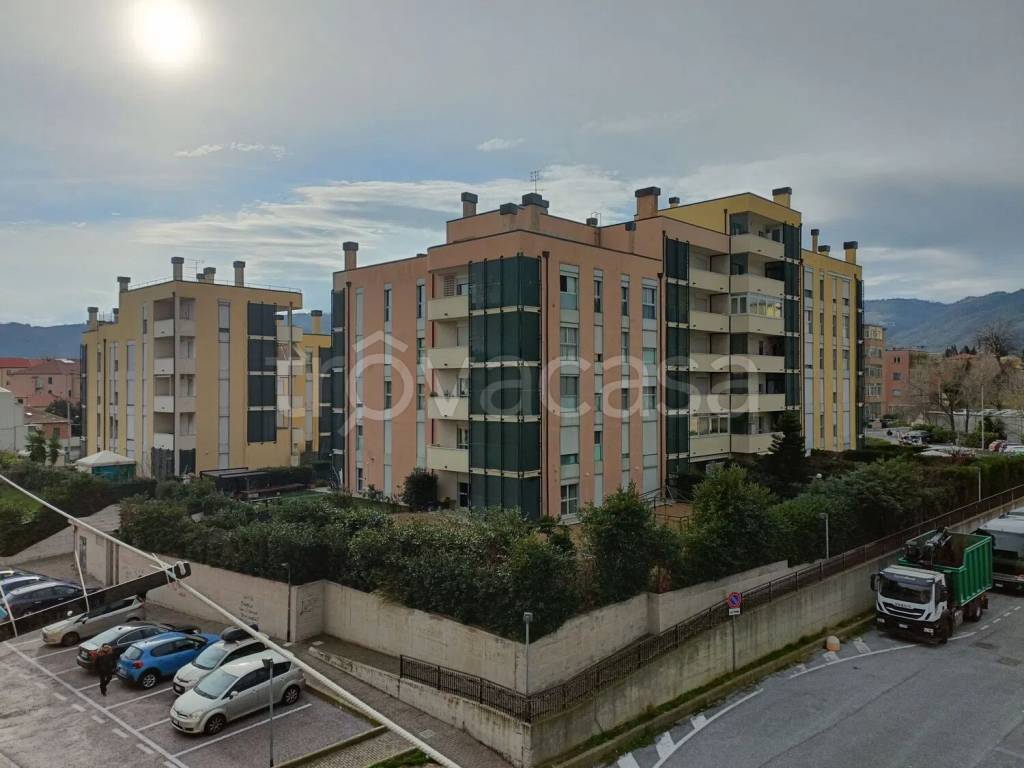 immagine annuncio 2 di 13