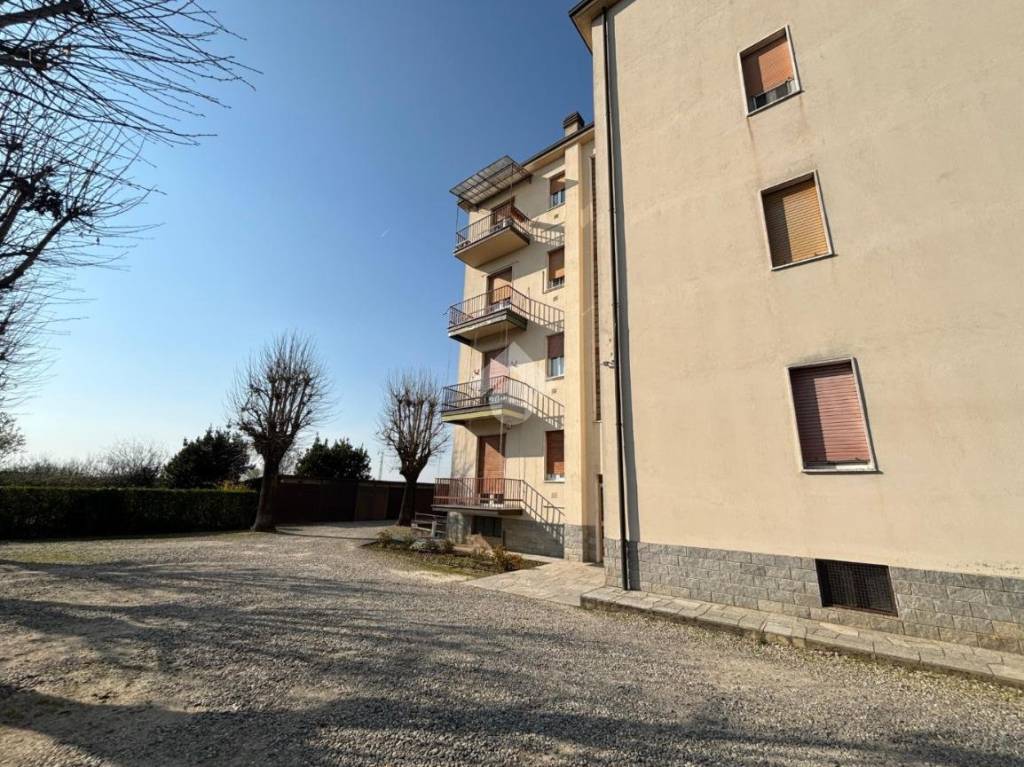 immagine annuncio 1 di 15