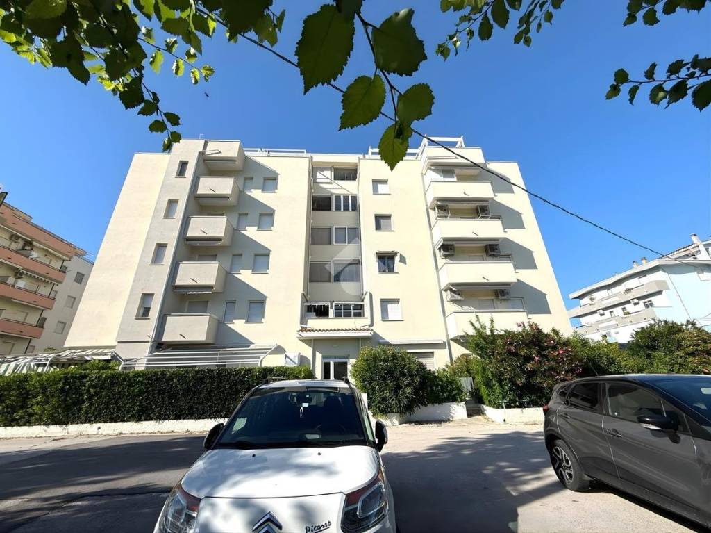 immagine annuncio 12 di 14