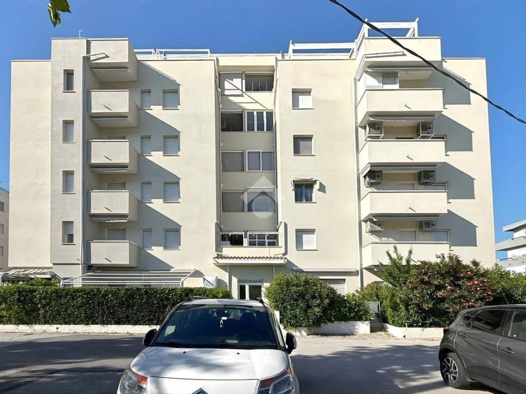 immagine annuncio 13 di 14