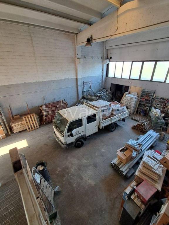 immagine annuncio 1 di 11