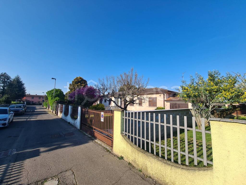 immagine annuncio 4 di 15