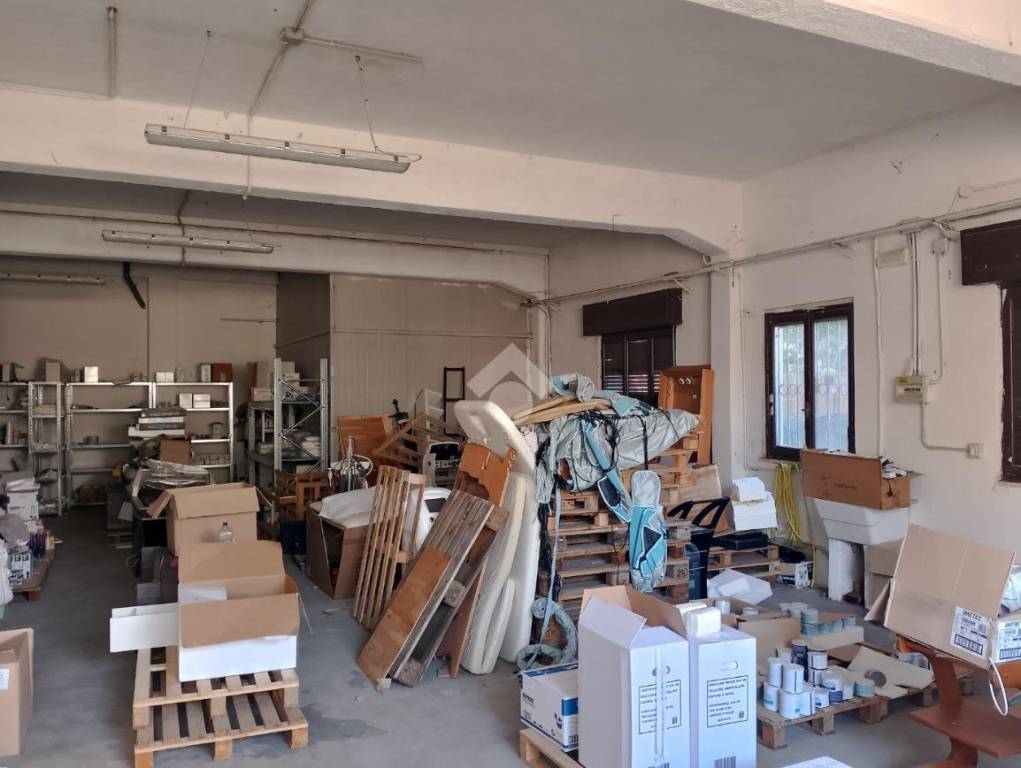 immagine annuncio 9 di 15