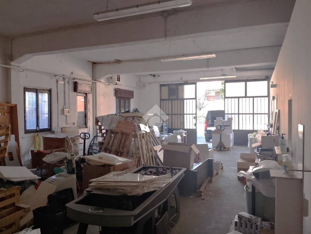 immagine annuncio 11 di 15