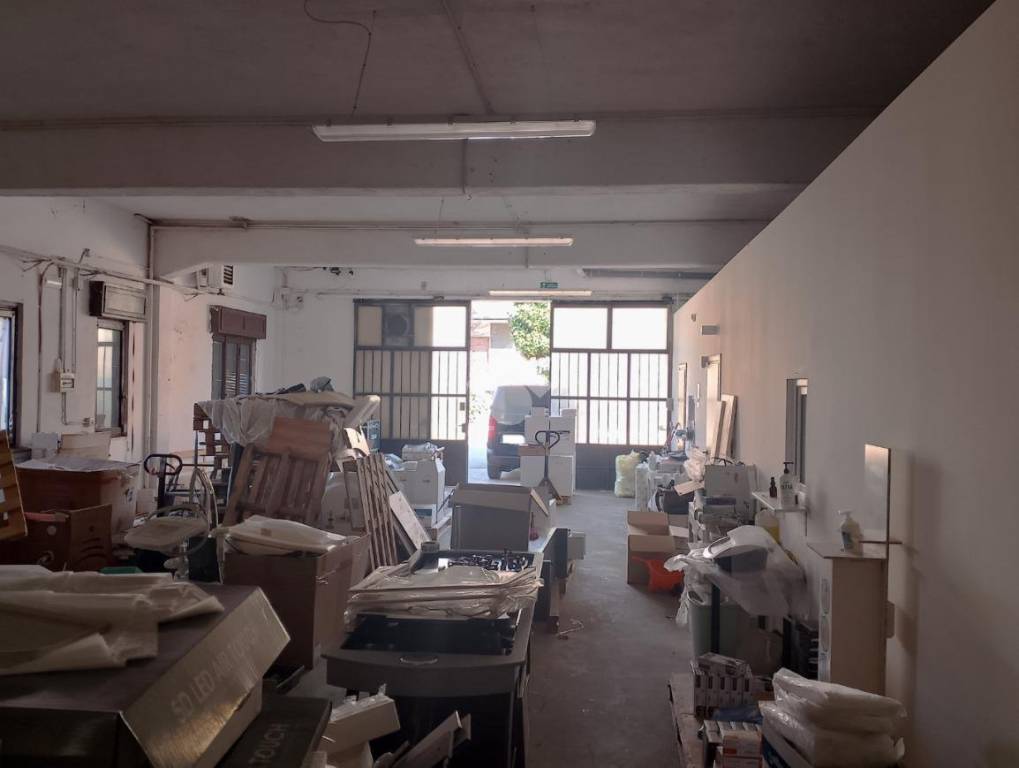 immagine annuncio 12 di 15