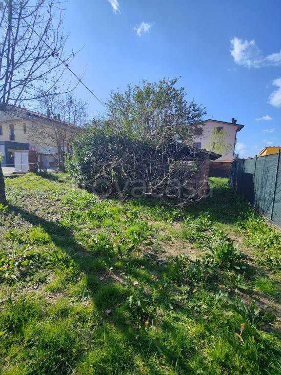 immagine annuncio 1 di 13