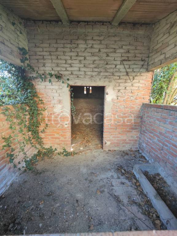 immagine annuncio 12 di 13