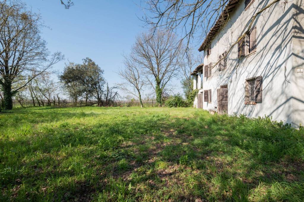 immagine annuncio 5 di 14