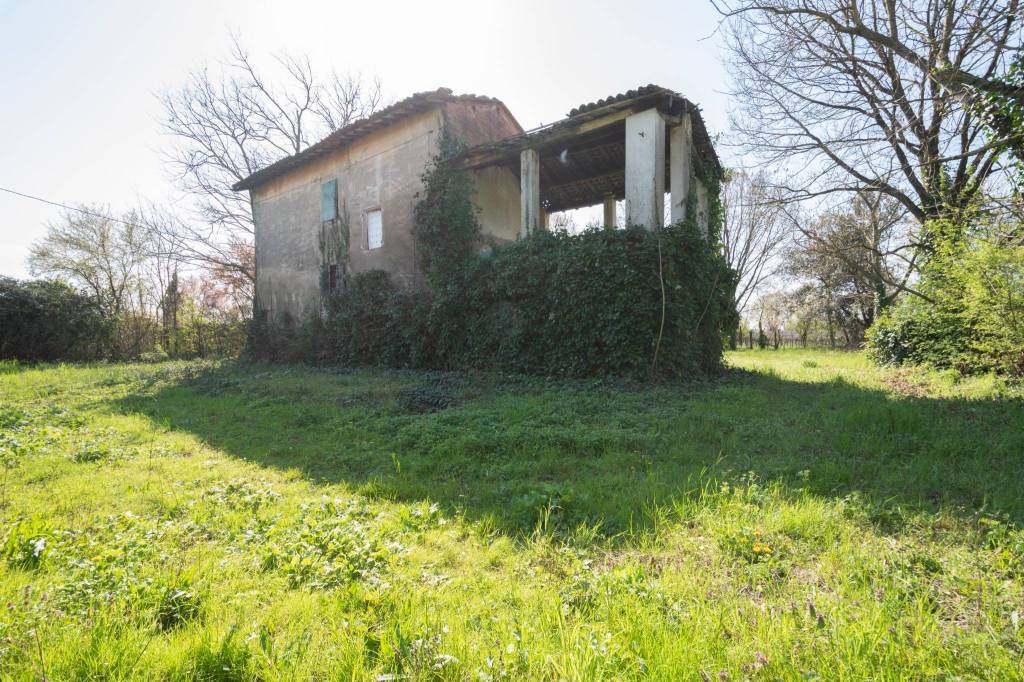 immagine annuncio 7 di 14