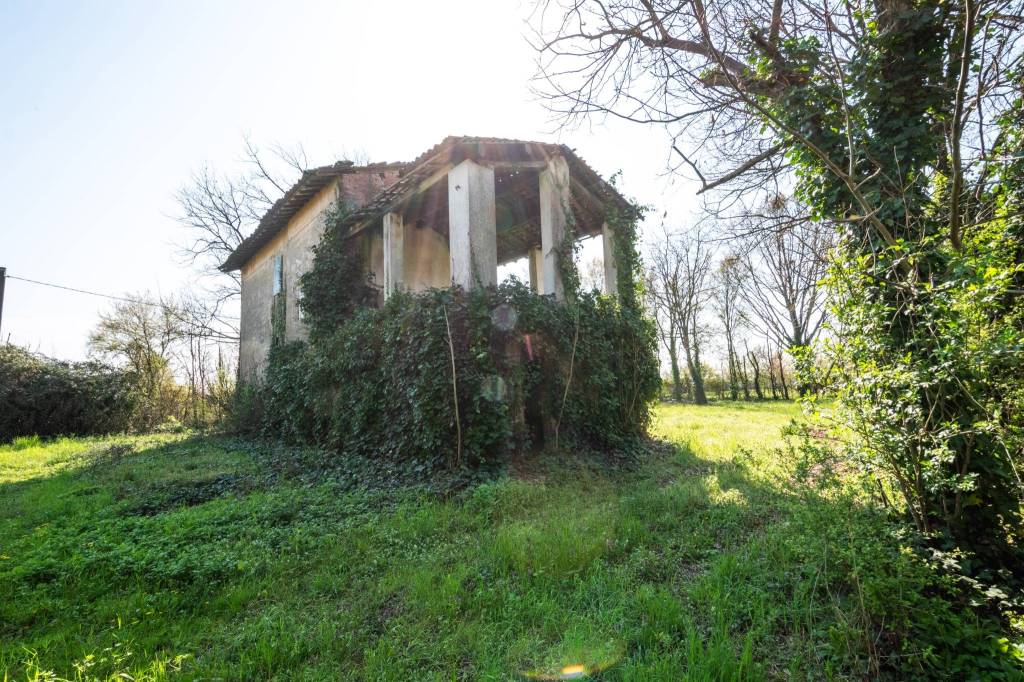 immagine annuncio 8 di 14