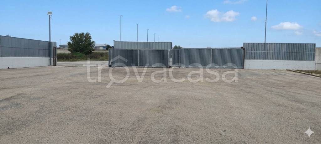 immagine annuncio 3 di 11