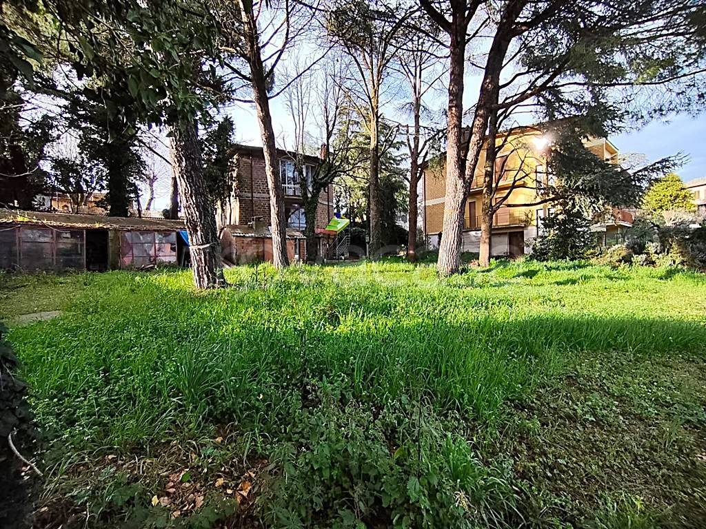 immagine annuncio 11 di 14