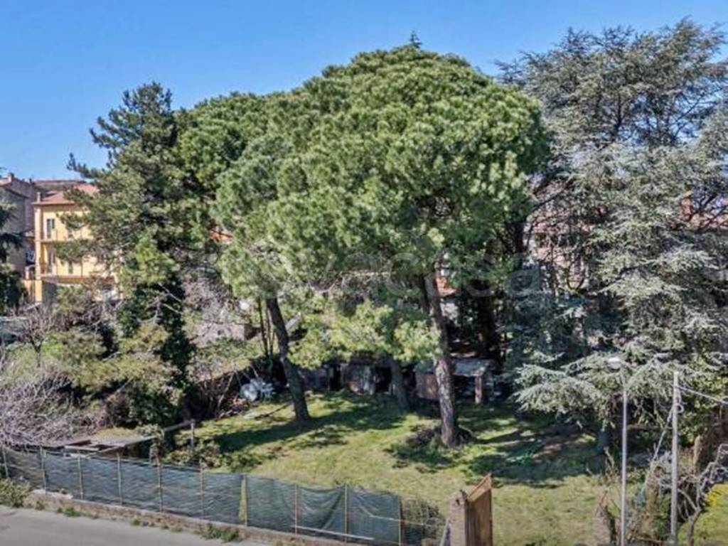 immagine annuncio 12 di 14