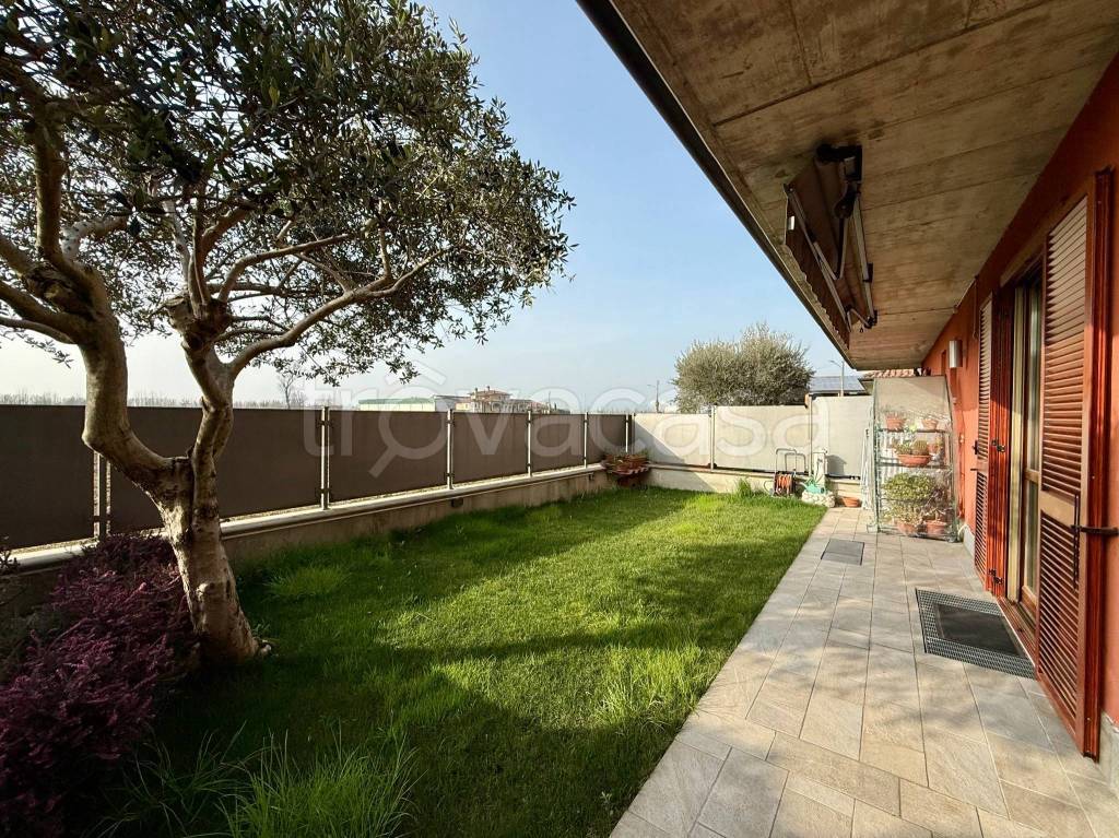 immagine annuncio 2 di 15