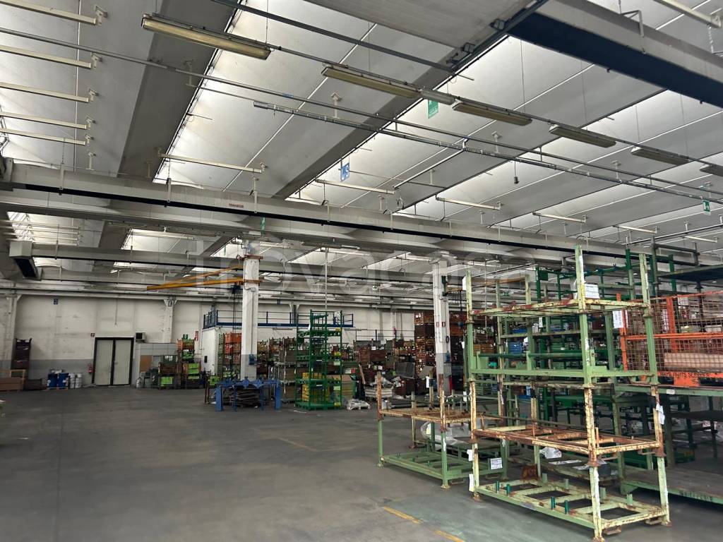 immagine annuncio 3 di 6