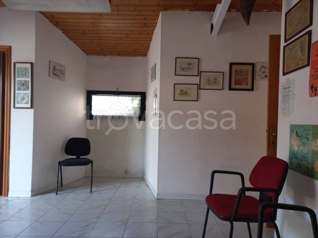 immagine annuncio 7 di 11