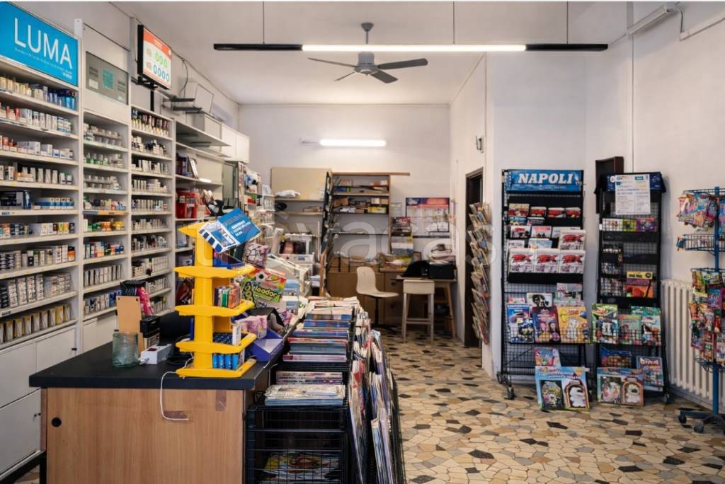 immagine annuncio 1 di 2