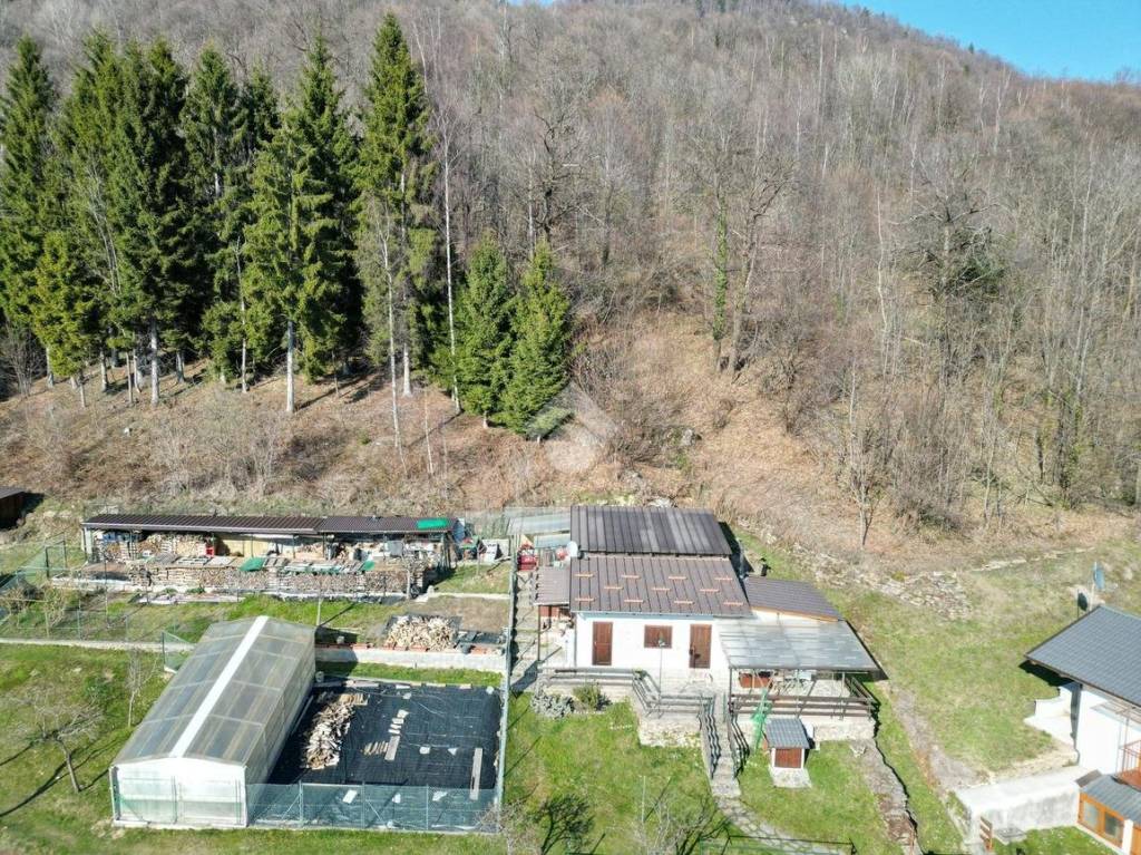 immagine annuncio 2 di 14