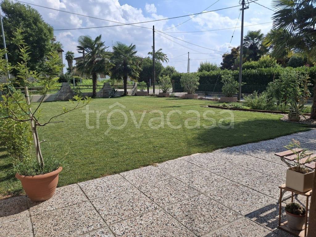 immagine annuncio 3 di 14