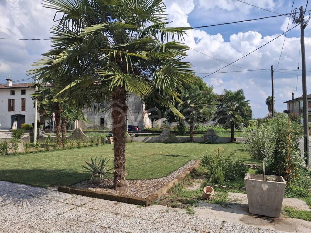 immagine annuncio 4 di 14